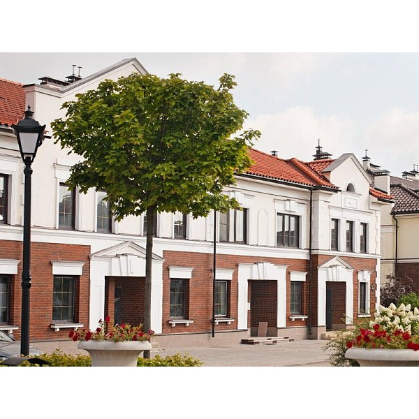 Керамічна черепиця ABC TG10, натуральний червоний