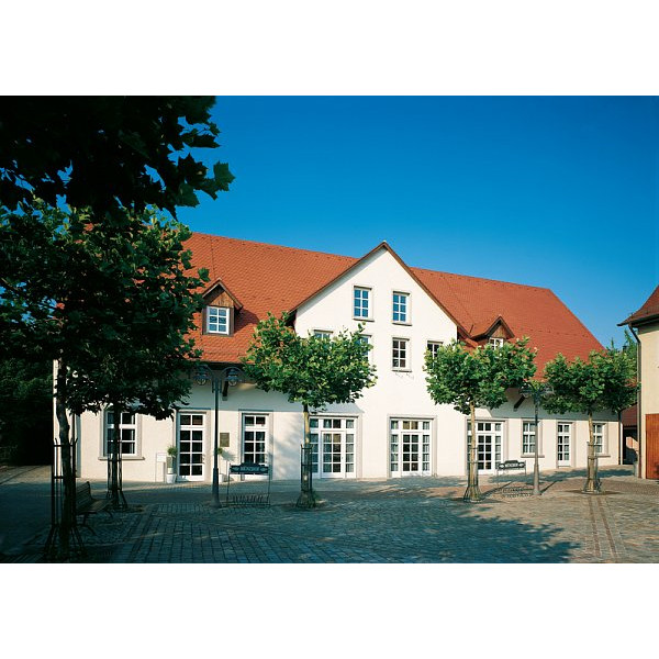 Керамічна черепиця Creaton Biber Antik Korbbogenschnitt, натуральний червоний