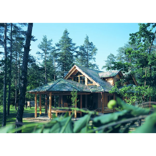 Керамічна черепиця Creaton Biber Klassik Rundschnitt ROG, Глазурований зелений