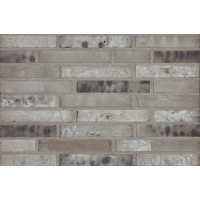 Облицювальна цегла, 210х100х50 мм, Birchridge, (NZ 038 WF), Daas Baksteen