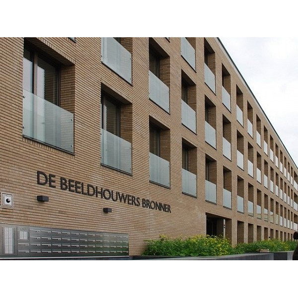 Облицювальна цегла, 210х100х50 мм, Putty multi gesinterd Fuss, (NZ 918 WF), Daas Baksteen