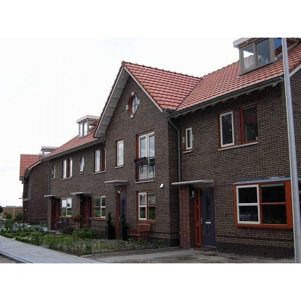 Облицювальна цегла ручного формування, 210х100х50 мм, Puttywood, (NZ 052 WF), Daas Baksteen