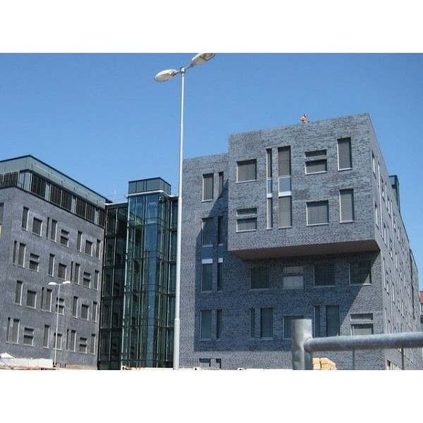 Облицювальна цегла, 210х100х50 мм, Royston, (NZ 092 WF), Daas Baksteen