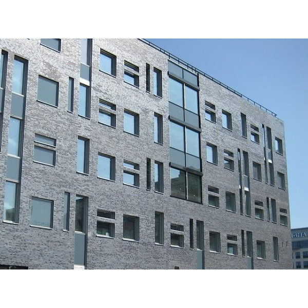 Облицювальна цегла, 210х100х50 мм, Royston, (NZ 092 WF), Daas Baksteen