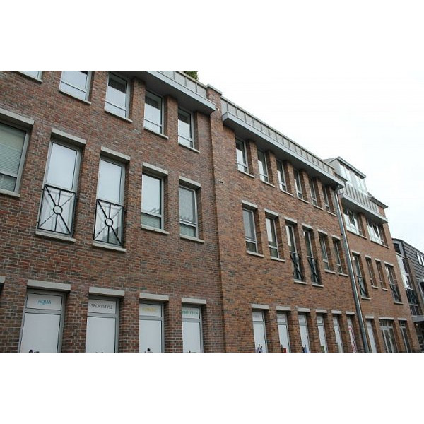 Облицювальна цегла ручного формування, 210х100х50 мм, Redwood, (NZ 048 WF), Daas Baksteen