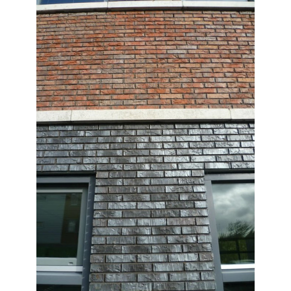 Облицювальна цегла ручного формування, 210х100х50 мм, Redwood, (NZ 048 WF), Daas Baksteen