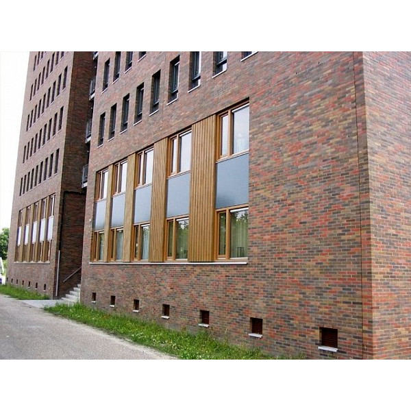 Облицювальна цегла ручного формування, 210х100х50 мм, SB 40, (NZ 082 WF), Daas Baksteen