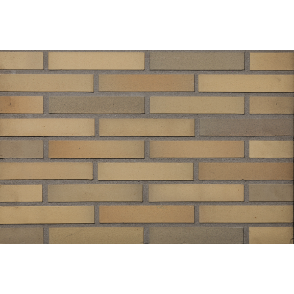 Облицювальна цегла ручного формування, 210х100х50 мм, Sussex multi, (NZ 077 WF), Daas Baksteen