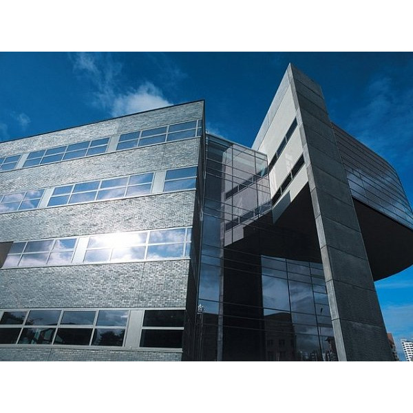 Облицювальна цегла, 210х100х50 мм, Silverstone, (NZ 097 WF), Daas Baksteen