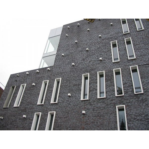 Облицювальна цегла, 215х102х65 мм, Cedarwood, (NZ 051 DF), Daas Baksteen