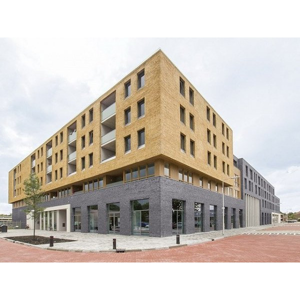 Облицювальна цегла, 215х102х65 мм, Cedarwood, (NZ 051 DF), Daas Baksteen