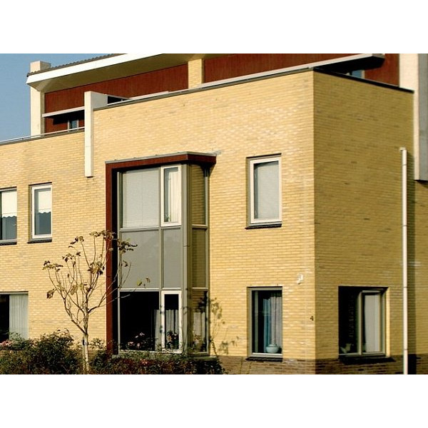 Облицювальна цегла ручного формування, 210х100х50 мм, Sussex multi, (NZ 077 WF), Daas Baksteen