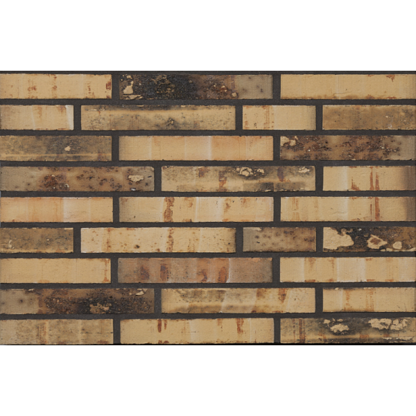 Облицювальна цегла, 210х100х50 мм, Sussex multi gesinterd Fuss, (NZ 0911 WF), Daas Baksteen