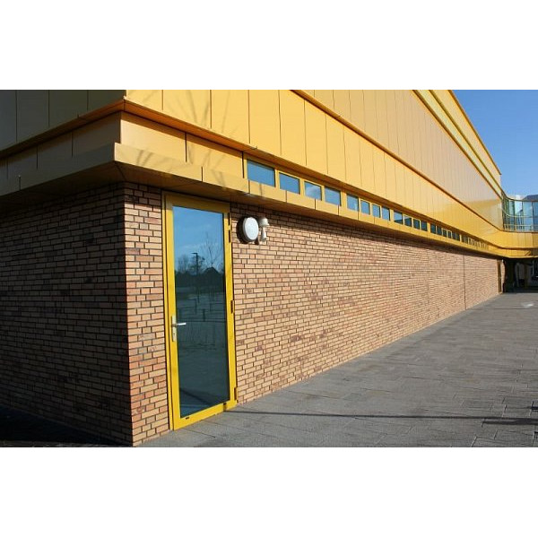 Облицювальна цегла, 210х100х50 мм, Sussex multi gesinterd Fuss, (NZ 0911 WF), Daas Baksteen