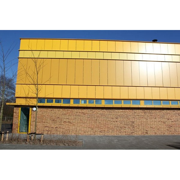 Облицювальна цегла, 210х100х50 мм, Sussex multi gesinterd Fuss, (NZ 0911 WF), Daas Baksteen