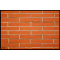 Облицювальна цегла ручного формування, 210х100х50 мм, Tilston, (NZ 055 WF), Daas Baksteen
