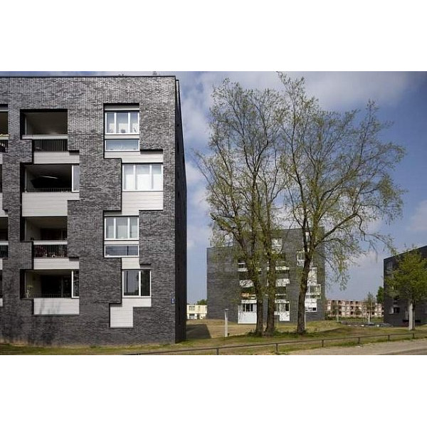 Облицювальна цегла, 210х100х50 мм, Ebonywood, (NZ 050 WF), Daas Baksteen