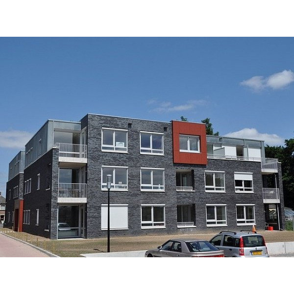 Облицювальна цегла, 210х100х50 мм, Ebonywood, (NZ 050 WF), Daas Baksteen