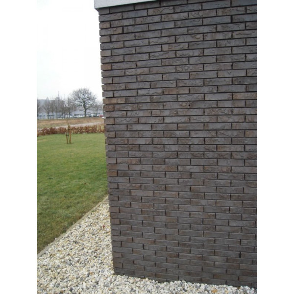 Облицювальна цегла, 210х100х50 мм, Teackwood, (NZ 060 WF), Daas Baksteen