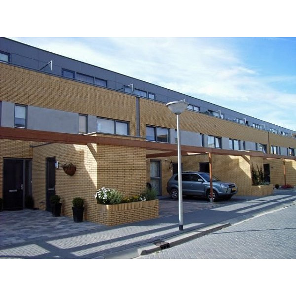 Облицювальна цегла ручного формування, 210х100х50 мм, Sussex unbesandet, (NZ 076 WF), Daas Baksteen