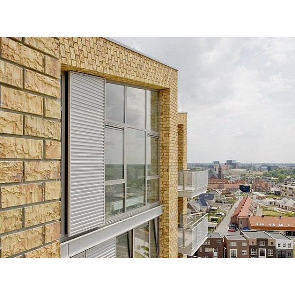 Облицювальна цегла ручного формування, 210х100х50 мм, Maplewood, (NZ 046 WF), Daas Baksteen