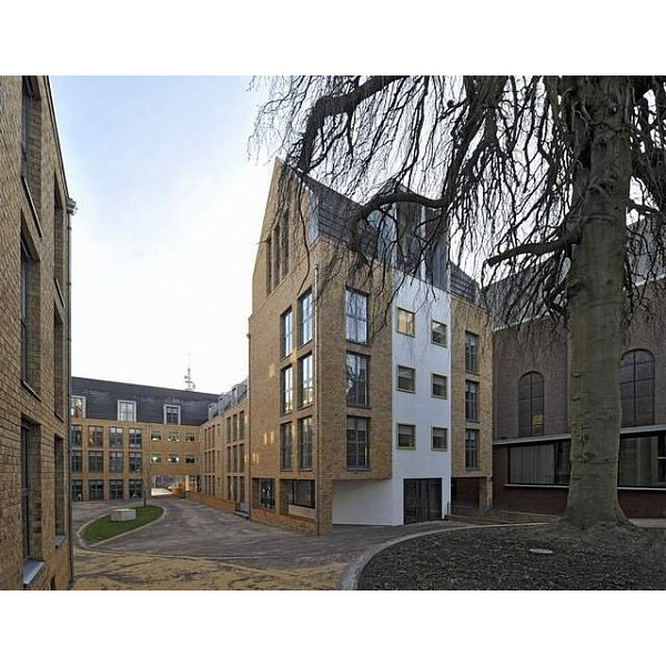 Облицювальна цегла ручного формування, 210х100х50 мм, Maplewood, (NZ 046 WF), Daas Baksteen