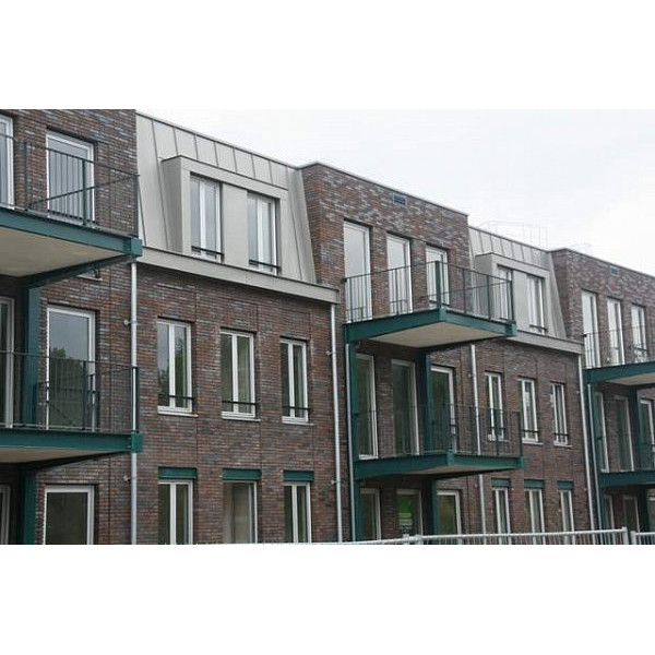 Облицювальна цегла ручного формування, 210х100х50 мм, Pinewood, (NZ 049 WF), Daas Baksteen