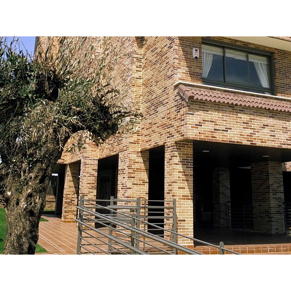 Облицювальна клінкерна цегла, 236х114х65 мм, Aragón, La Paloma ceramicas