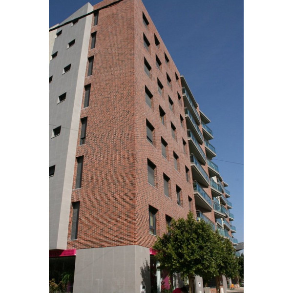 Облицювальна клінкерна цегла, 236х114х65 мм, Ingles, La Paloma ceramicas