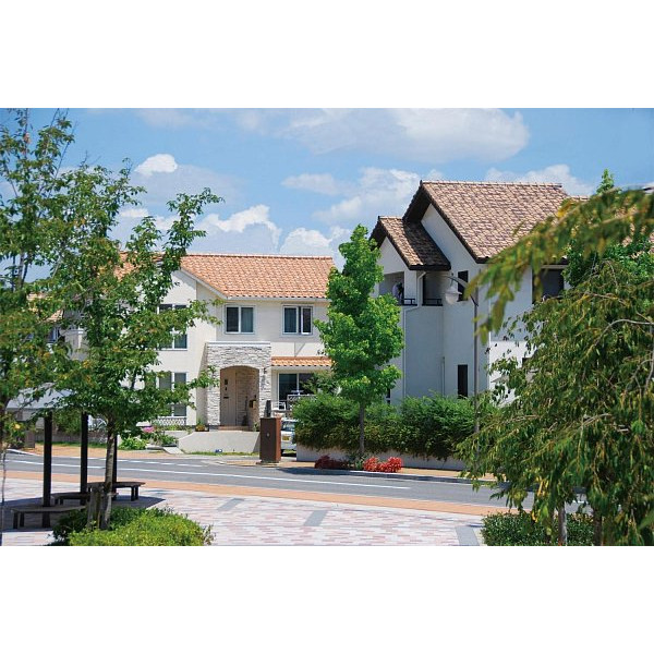 Керамічна черепиця Maruso, Newcera ECO (Каліфорнія), колір Біла береза