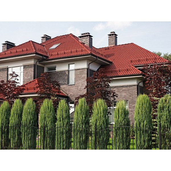 Керамічна черепиця Nelskamp F 15, Мідно-червоний