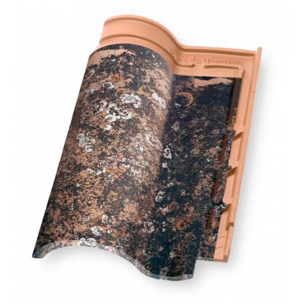 Керамічна черепиця Borja TECH TB 10, Enterpins, Tejas Borja