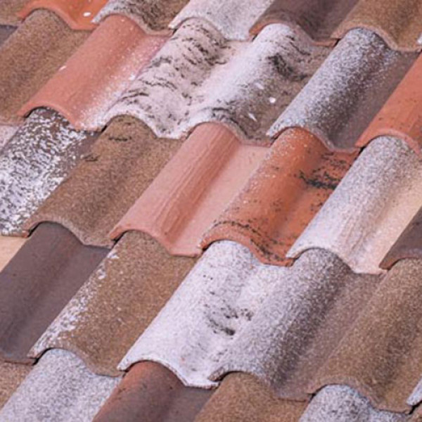 Керамічна черепиця Borja CLASS TB 12, Ground, Tejas Borja