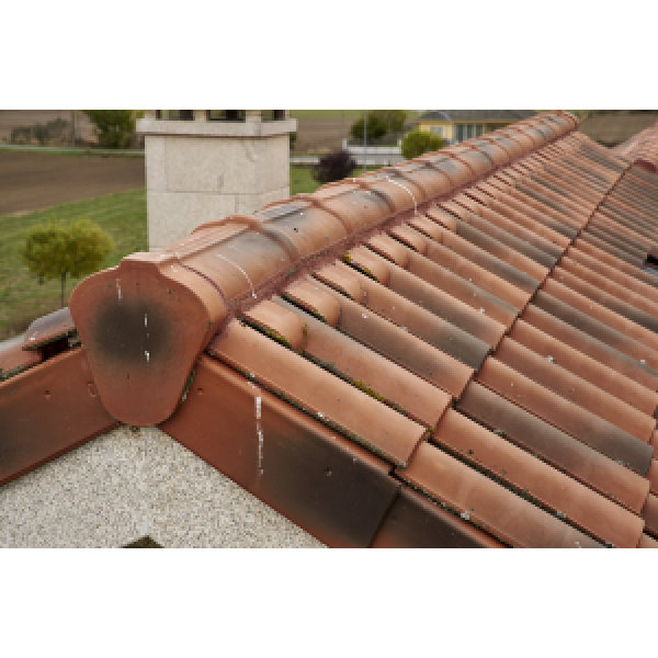 Керамічна черепиця Borja TECH TB 10, Moss red, Tejas Borja