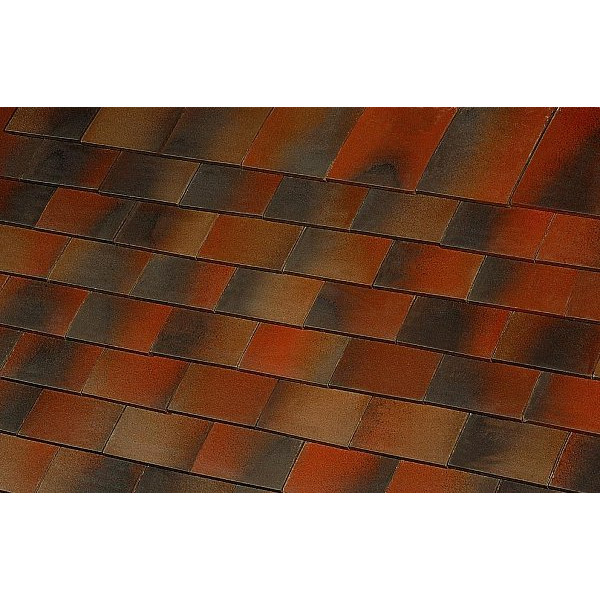 Керамічна черепиця Terreal Biber, Sologne, Vieux clocher