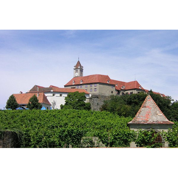 Керамічна черепиця Tondach Altstadtpaket Tasche, натуральний червоний