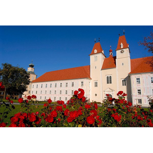 Керамічна черепиця Tondach Altstadtpaket Tasche, натуральний червоний