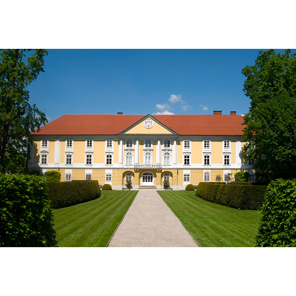 Керамічна черепиця Tondach Fidelio, Мідно-коричневий