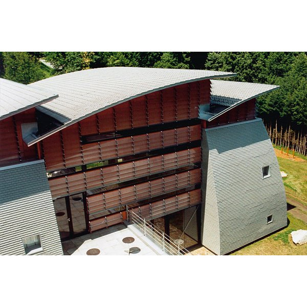 Керамічна черепиця Tondach Sulm Verschiebeziegel, Граніт