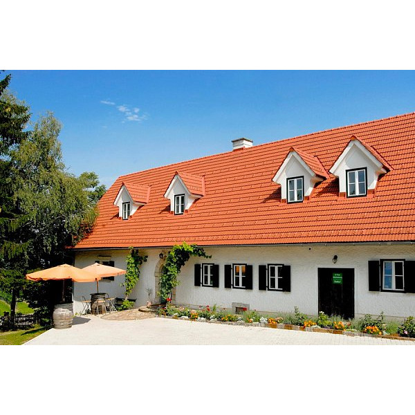 Керамічна черепиця Tondach Strangfalz gepresst, натуральний червоний