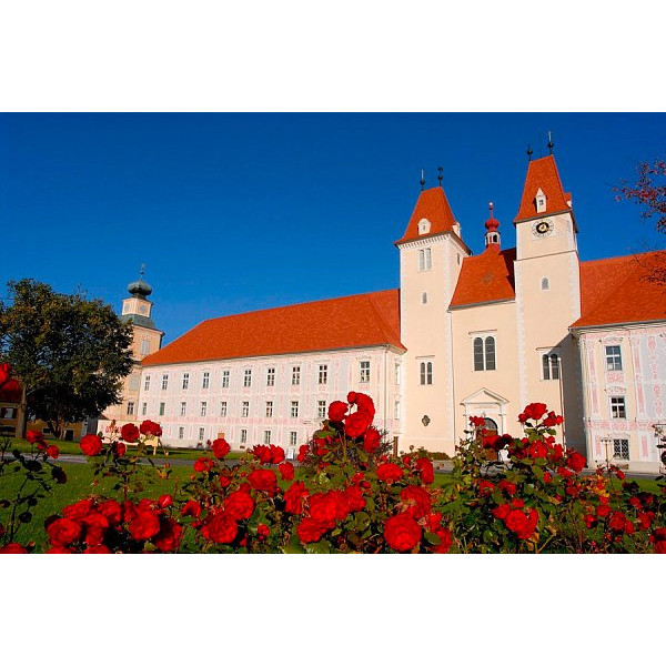 Керамічна черепиця Tondach Tasche eckig, натуральний червоний