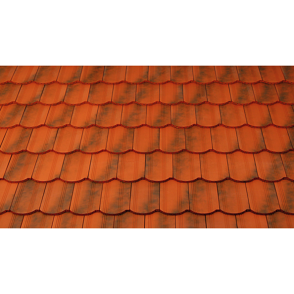 Керамічна черепиця Tondach Biberfalz, Рустикальний