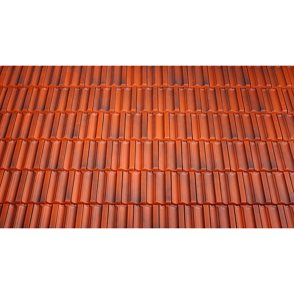 Керамічна черепиця Tondach Fidelio, Рустикальний