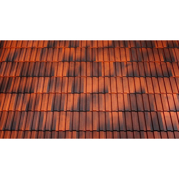 Керамічна черепиця Tondach Strangfalz gepresst, Рустикальний